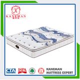 2016 Pocket Spring Mattress Factory Wholesale Price