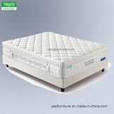 Air Circulation Sleeping System Memory Foam Mattress (HP102)