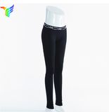 Manufacturers OEM Sexy Yoga Leggings Pants