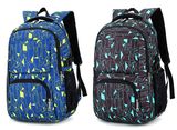 Fashion School Backpack Bag, Leisure Travel Laptop Backpack Bag