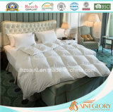 Luxury Warm Goose Down Duvet White Duck Feather and Down Comforter