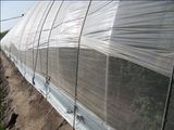 Mosquito Net Fabric Anti Insect Net