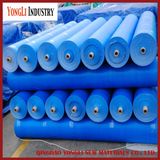 Bothside Coated PE Material Fabric Tarp Tarpaulin in Roll