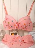 Wholesale Price Bra and Panty Set Ladies Underwear (CS31293)