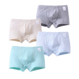 4 Pack Solid Color Big Boy Underwear, Kids Boxer Briefs Panties