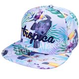 Snapback New Fashion Era Flat Visor Cap