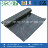 PP Ground Cover/Weed Mat/Weed Barrier Fabrics with Parallel Line