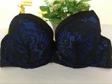 2017 High Quality Low Price Sexy Ladies Bra (CS1845)