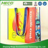 China Best! ! Factory Direct! Various Fabric and Pattern Reusable Shopping Bag, PP Woven Shopping Bag, Nonwoven Shopping Bag (MECO122)