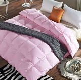 Adult Quilts Soild Colour 90/10 Down Feather Quilt for Home
