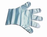 Food Preparation Quality Disposable PE Gloves Size Large