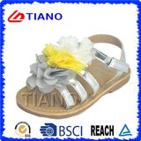 New Fashion Flat PVC Crastal Sandals for Girl (TNK50016)