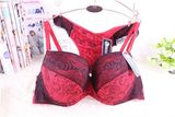 Beautiful Flower Printed with Nice Lace Trim Bra and Panty Set for Women (CSM020)