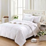125GSM 50% Duck Down Quilt/Pillow Set
