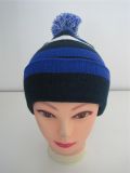 Fashion Knitted Winter Embroidery Beanie Hat