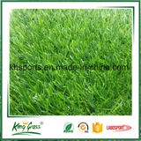 UV Resistant 35mm Height Decoration Turf Artificial Grass Prices /Artificial Grass Carpet