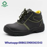 Steel Head Steel Sole Safety Shoes