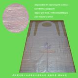 Disposable Transparent PE Apron