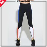 Custom Sports Wear Yoga Pants Fitness Leggings