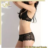 Hot Sale Black Sexy Women Fantasy Bra Sexy Lingerie