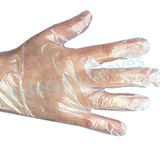 Disposable PE Glove, HDPE Glove