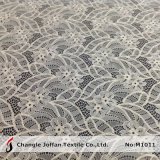 Fashion Raschel Elastic Lace Fabric (M1011)