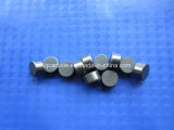 Cemented Carbide Buttons Bk8 for Drill Bits