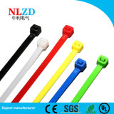 Free Samples Nylon cable ties wholesale directly from manufacturer