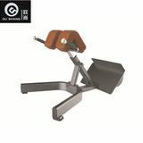 Pin Loaded 45 Degree Back Extension Machine Om7039 Gym Fitness Equipment