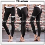 OEM Free Sample Custom Sports Wearfitness Gym Women Yoga Legging