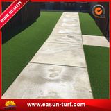 SGS Friendly Indoor Turf Carpet with High Quality