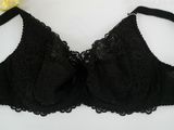Cheap Price Newest Nursing Plus Size Padding Bra for Women