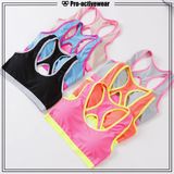 OEM Wholesale Plus Size Women Seamless Underwire Sports Bra