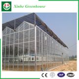 Agriculture/Commercial Glass Tent with Cooling System