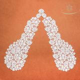 100% Polyesther Square Crocheted Embroidery Lace in Pair Collar Lace