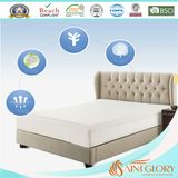Wholesale Anti Bed Bug Waterproof Mattress Encasement with Zipper