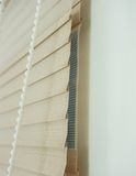 Blackout Window Blinds Feature Soft Motorized Roller Blinds Shutter