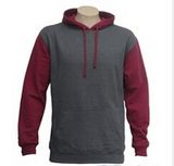 Custom Cotton/Polyester Printed Hoodies Sweatshirt of Fleece Terry (F029)