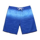 Mens Swimming Board Shorts 2017 Summer Beachwear