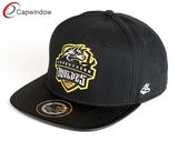 Promotional Wholesale Hat Fashion Snapback Hat