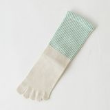 Street Fashion Dress Top Quality Dress Sock