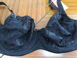 Warehouse High Quality Plus Size Women Bra (CS926)