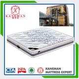 Modern Bedroom Furniture Sweet Dream Euro Pillow Top Spring Mattress