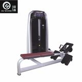 Pin Loaded Low Row Machine Sm8014 Gym Fitness Equipment
