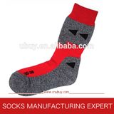 Professional Terry Cushion Warm Socks