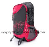 Fashion Leisure Double Shoulder Outdoor Sports Laptop Notebook Backpack (CY3704)