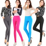 Fashion Women Color Cotton Skinny Legging (SR8209)