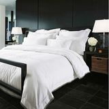 Thin Duvet Insert for All Season Down Alternative Comforter (DPF1703)