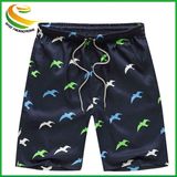 2018 Holiday Board Shorts Suit Fashion Beach Board Shorts