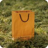 Luxury Rope Handle Paper Shopping Bag